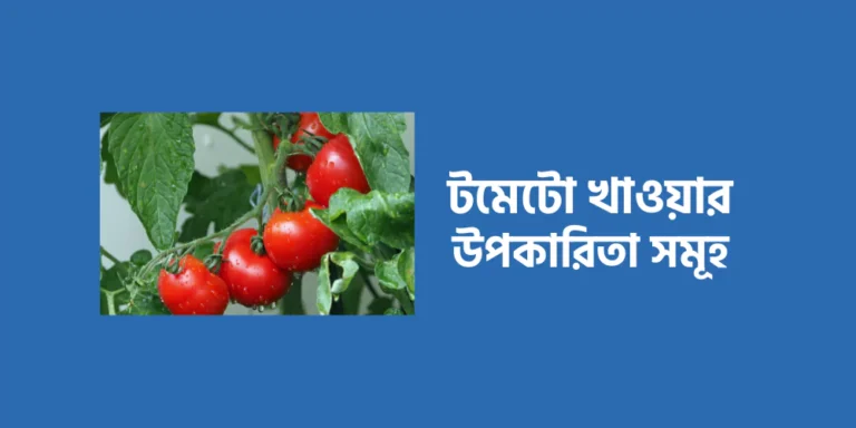 Benefits of eating tomatoes