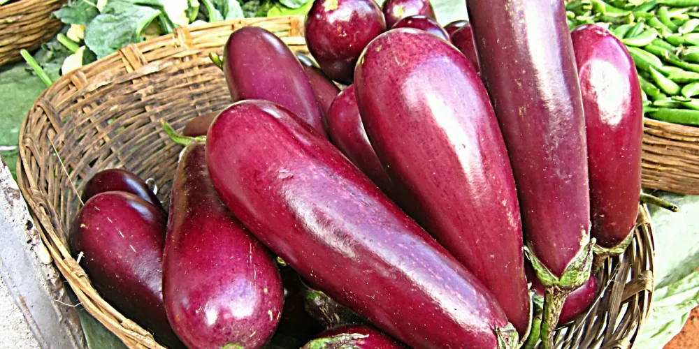 Eggplant4