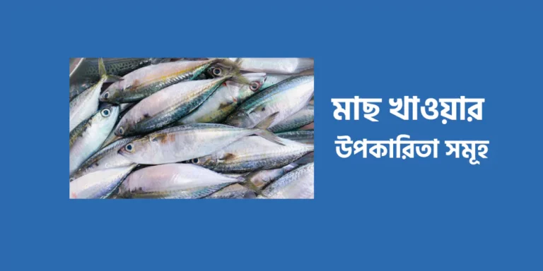 Fish1