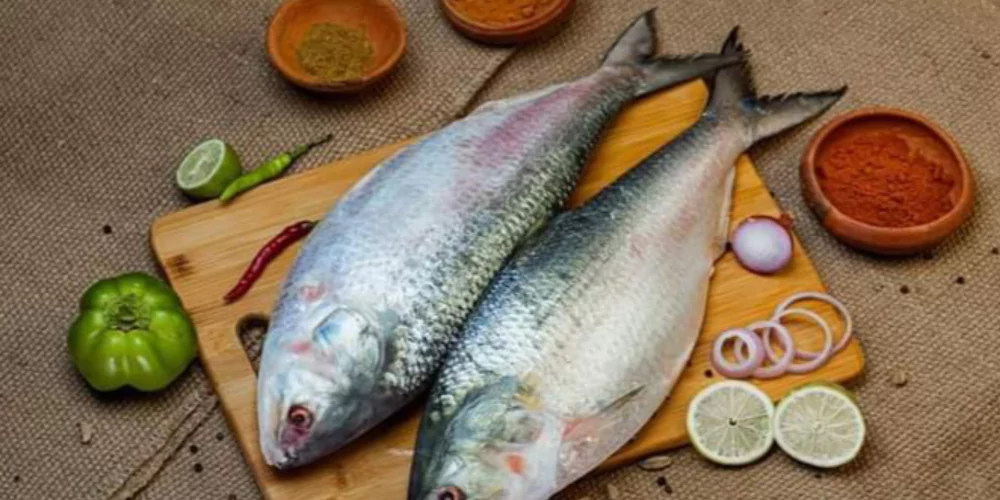 Fish4