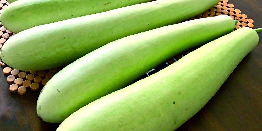 Gourd2