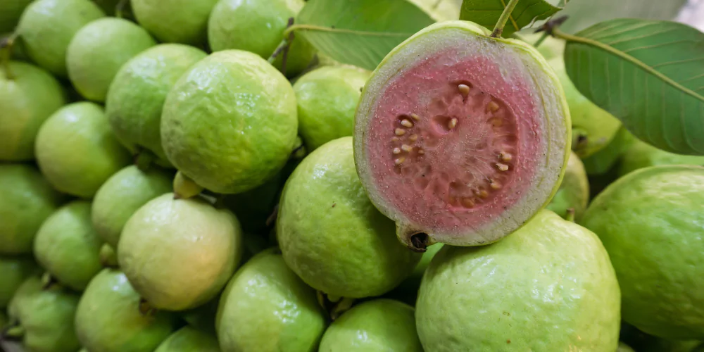 Guava4