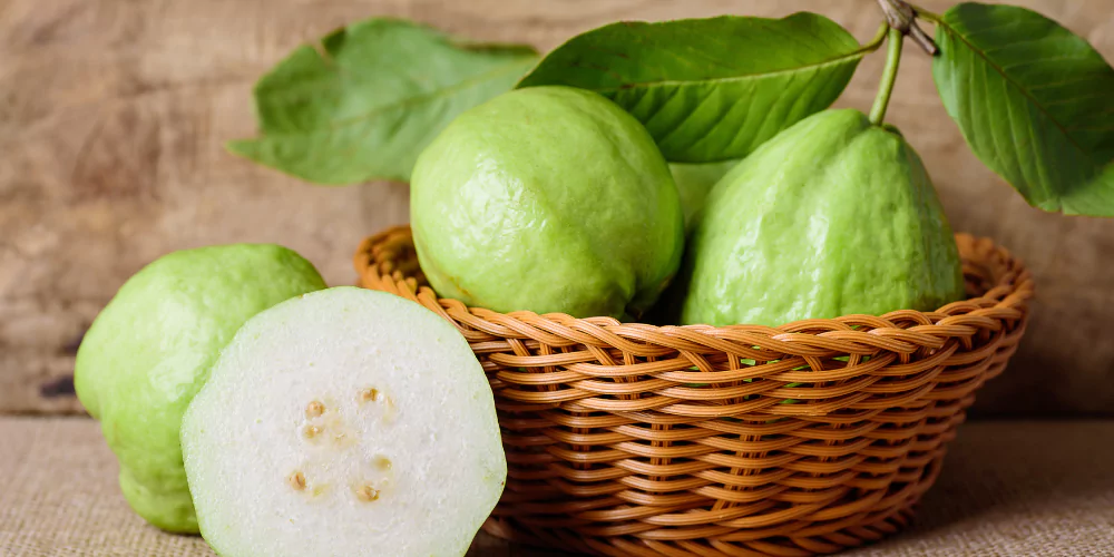 Guava5