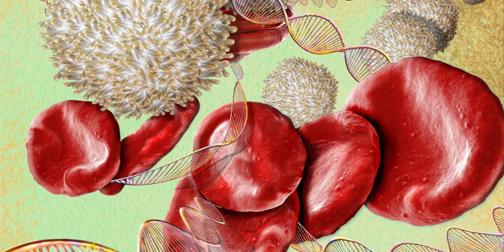 Hemophilia2