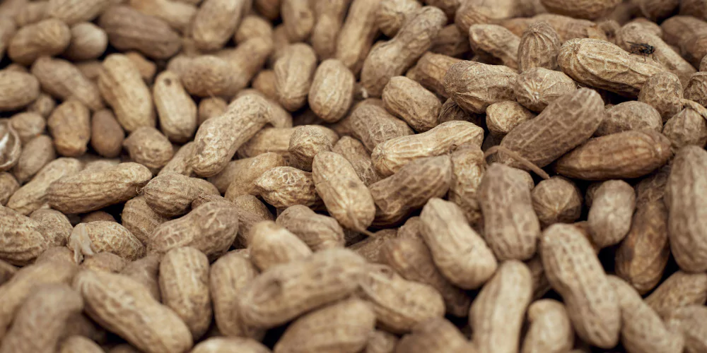 Peanuts2