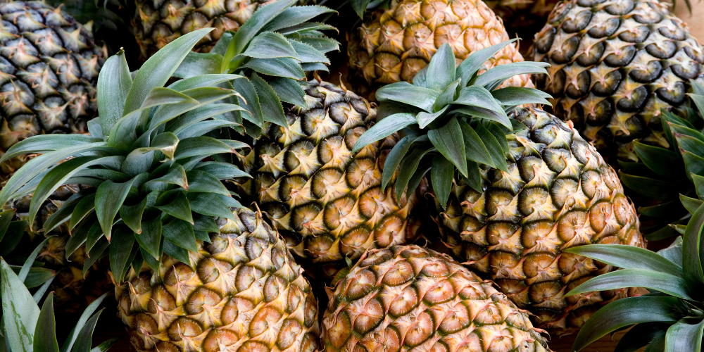 Pineapple2