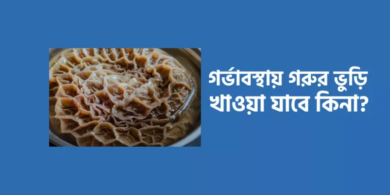 Cow's stomach1