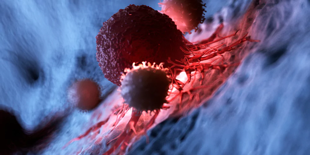 Cancer4