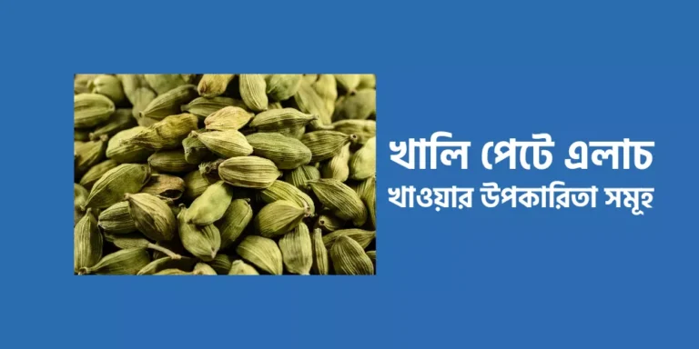 Cardamom1