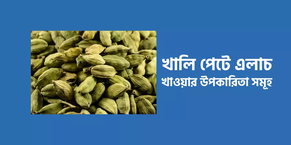 Cardamom1