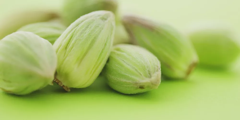 Cardamom3