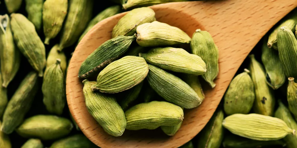 Cardamom4