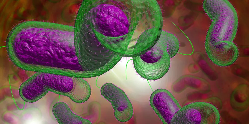 Cholera3