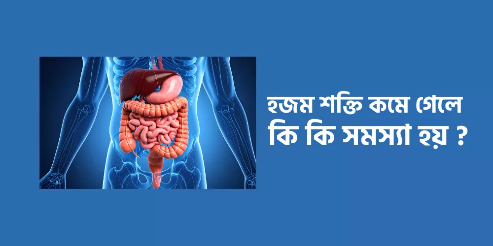 Digestive power1