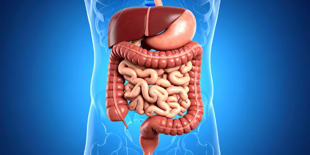 Digestive power3