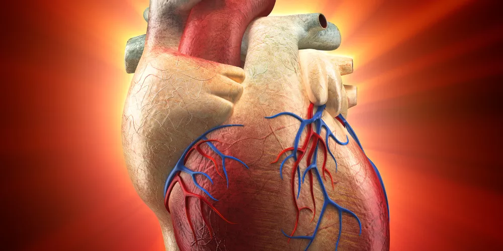 Heart pain2