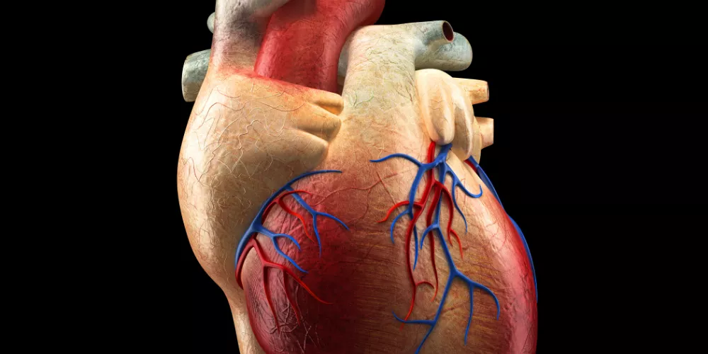Heart pain3