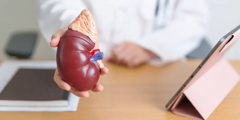 Kidney problems3