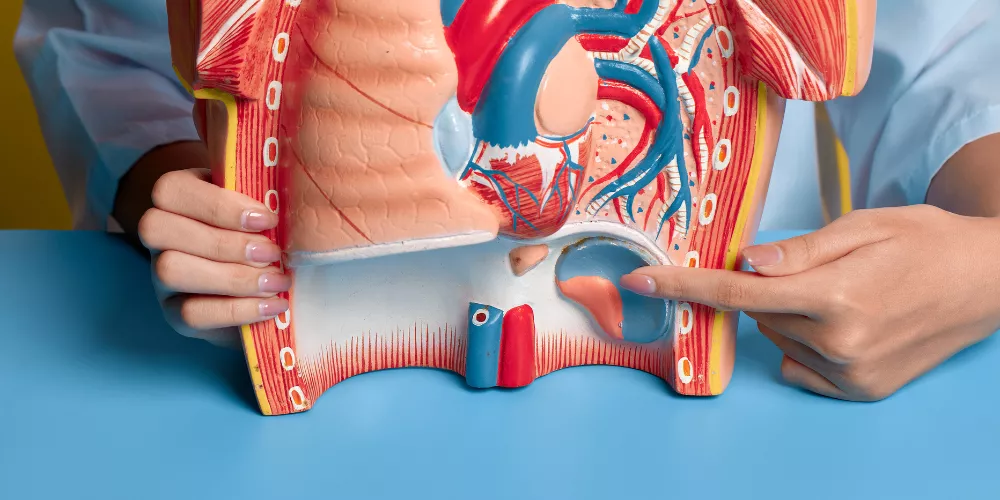 Kidney problems4