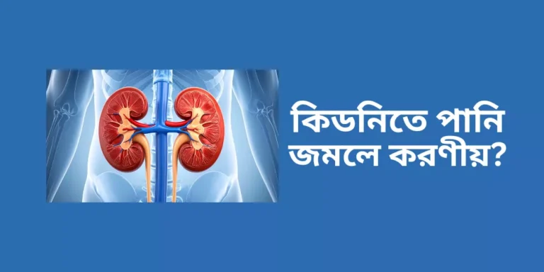 Kidney1