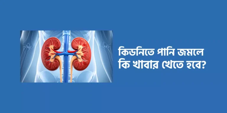 Kidney1
