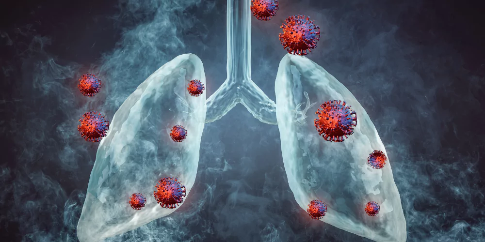 Lungs2
