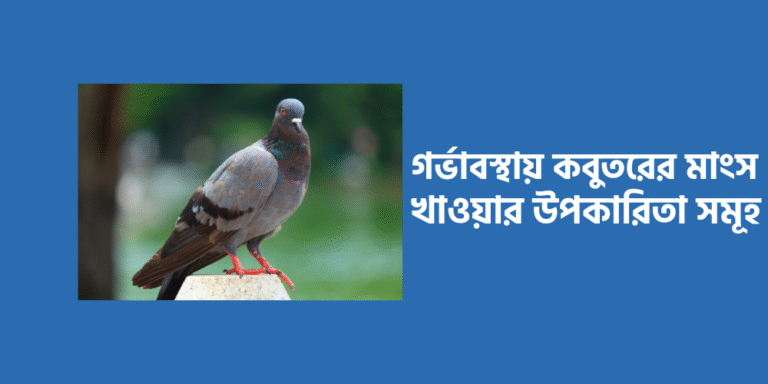Pigeon meat1