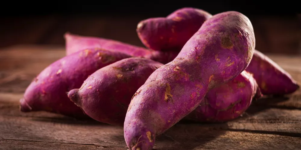 Sweet potato2