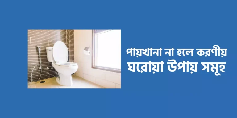 Toilet1