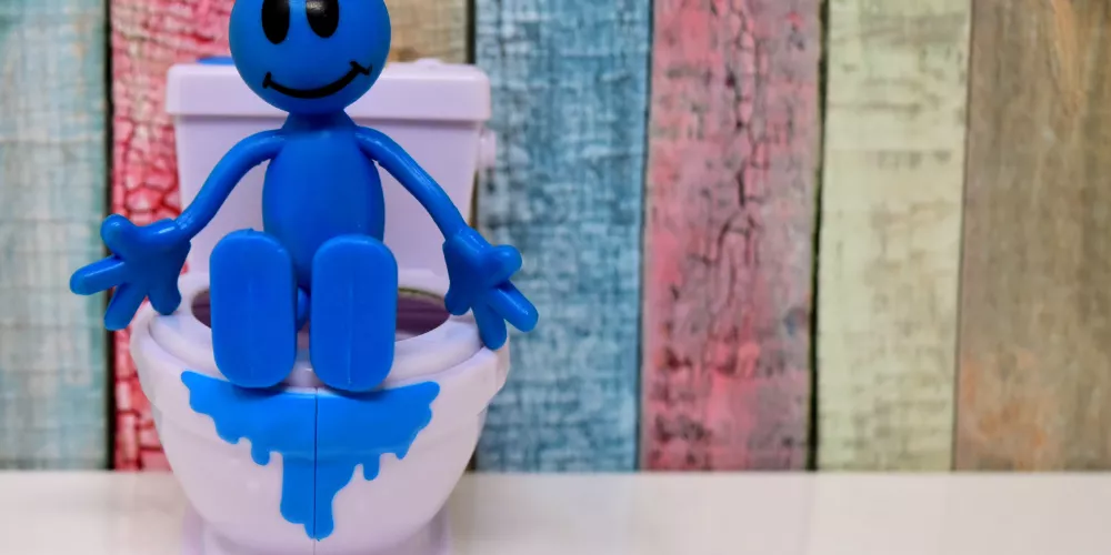 Toilet3
