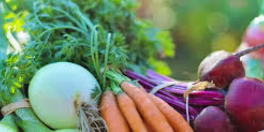 Vegetables3